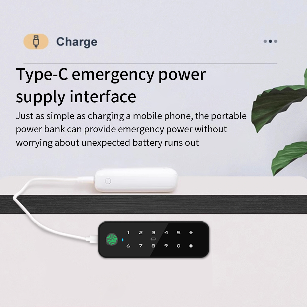 Tuya Bluetooth Akıllı Ahşap Do - Furniture Hardware Manufacturer incelemesi ve fiyatı